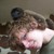 :iconzeeman784: