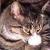 :iconzeikku-shadow: