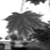 :iconzekar01: