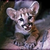 :iconzeker287: