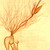 :iconzelabyrinth: