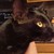 :iconzeldacatvampire: