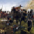 :iconzelkova1224: