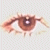 :iconzelkraps: