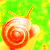 :iconzemuu: