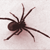 :iconzenatris: