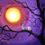 :iconzenbreeze:
