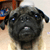 :iconzendikboy:
