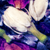 :iconzenfluence: