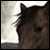 :iconZeni-X: