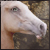 :iconZenithxx: