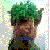 :iconzenkly: