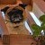 :iconzenny-and-the-pie: