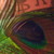 :iconzenobia0315: