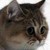 :iconzenomagaki: