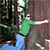 :iconzentangerine: