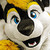 :iconzeohusky: