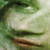 :iconZepherFish: