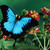 :iconzepherrr: