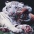 :iconzephon01: