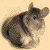 :iconzephryllis: