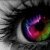 :iconzephyr29: