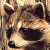 :iconzeraccoon: