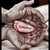 :iconzerart23: