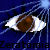 :iconzeratomia: