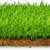 :iconzerdelyi: