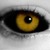 :iconzeref16: