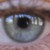 :iconzerithblue: