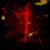 :iconzero-5-niner: