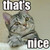 :iconzero6421: