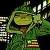 :iconzero707: