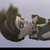 :iconzero791:
