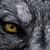 :iconzerogravityadl: