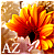 :iconzerolexa: