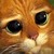 :iconzeroo91: