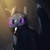 :iconzerothenightfury: