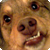 :iconzerstorer4: