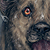 :iconzetchan: