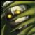 :iconzetsu22: