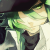 :iconzettaiprongs: