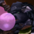 :iconzewathis: