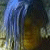 :iconzexionvi-ivnoixez: