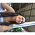 :iconzeynepoezcan09: