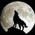 :iconzgottzilla24: