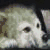 :iconzhao1: