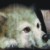 :iconzhao1: